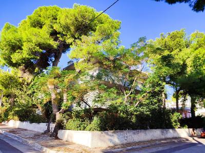 BlueGreen view Apartment