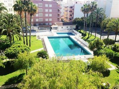 Golden Apartment in Palm Park