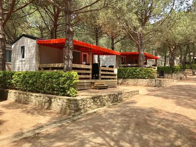 Cozy Glamping Chalet in Palams with Garden View