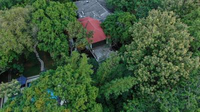 Royal Retreat, Sigiriya 5 mins to Sigiriya Rock