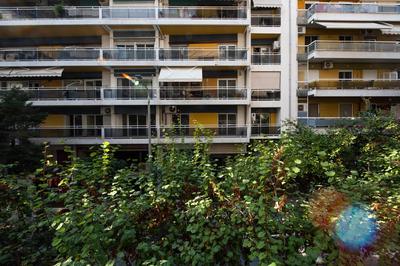 Mandarin apartments by halu!