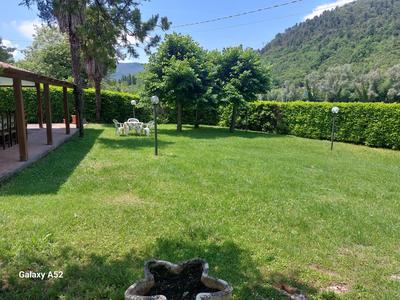Al lago nel verde