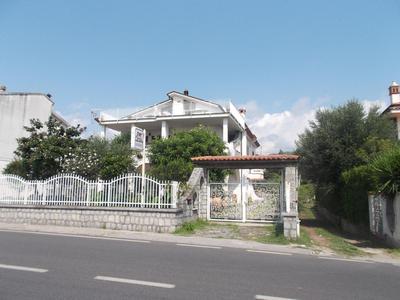 Le Magnolie