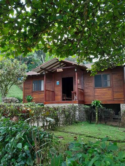 HOSTERIA MADERA FINA