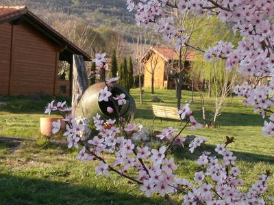 Apartamentos Rurales El Rincón del Jerte