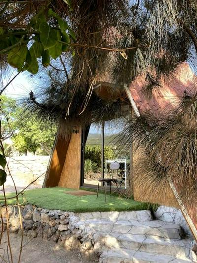 CasaAlpina: live a great experience in a tinyhouse