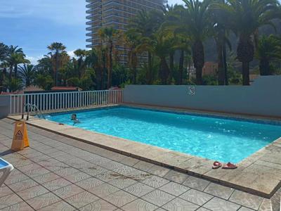 Live Puerto Cruz Martianez