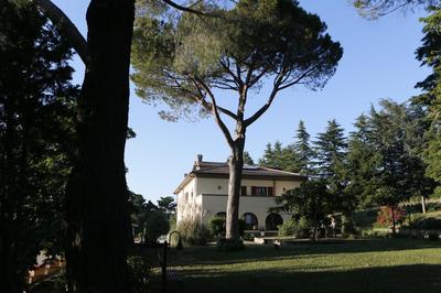 Villa Degli Ulivi