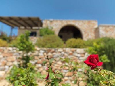 Villa Artemis Paros Island