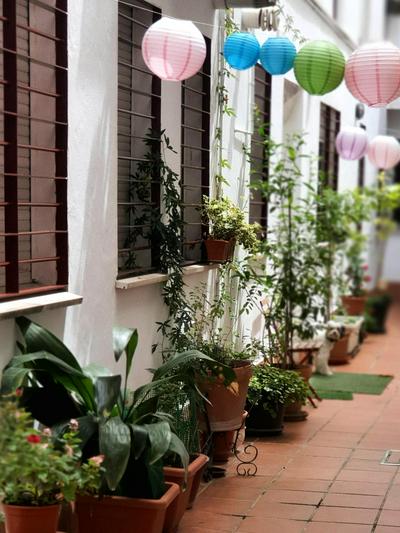 Centuria Macarena, apartamento dúplex