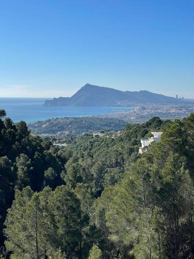 Altea Dreamview