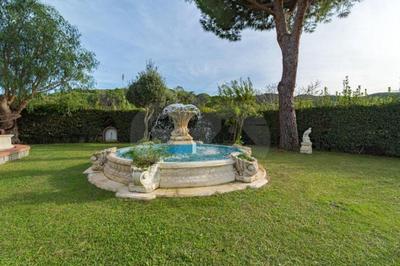 Albero del Pepe 2 - Goelba