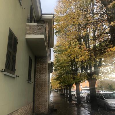 nel cuore della città