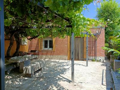 El patio de Rio Lozoya