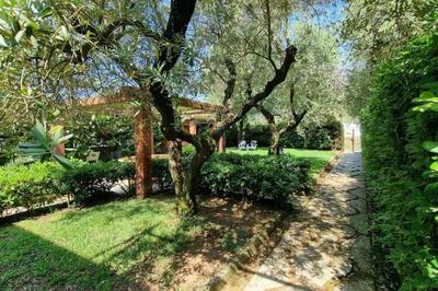 Villa degli Ulivi a pochi passi dal mare
