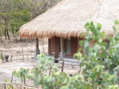 Melody Surf Ekas Lombok