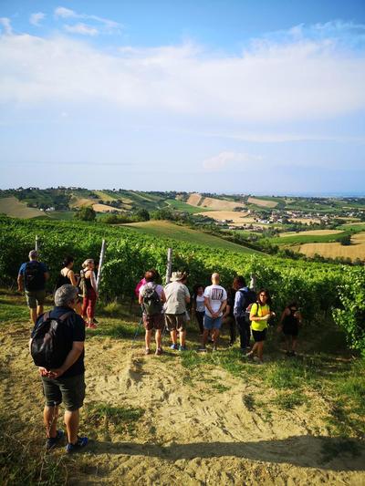 Cantina Visconti - Agriturismo