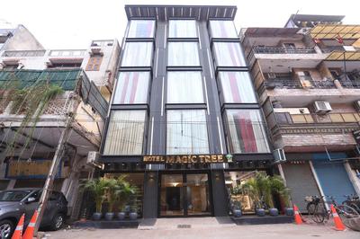 Hotel The Magic Tree - Paharganj New Delhi