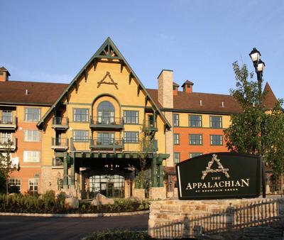 Cozy Mountain View Condo
