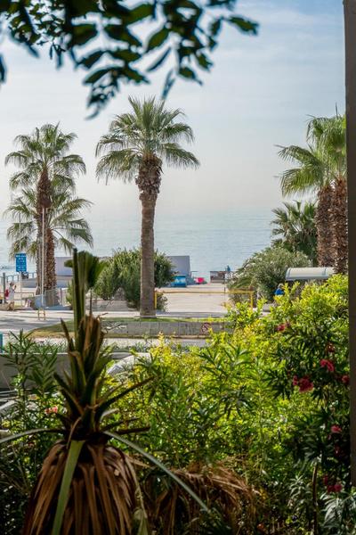 Sunlit Urban Oasis in Vibrant Palaio Faliro