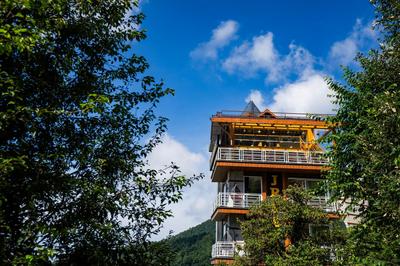 Alt Life Luxe - Himalayan Crown - Upper Bhagsu Mcleodganj