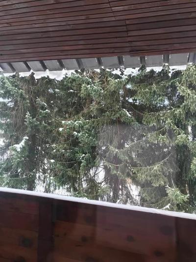 Apartments Minja