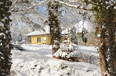 Landhaus Wulfenia - APARTMENT KLAGENFURT - Private Sauna, Smart-TV, Air Conditioning, Free Parking
