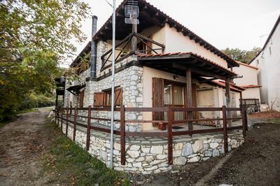 Zeusplace Pierion Villa Elatochori