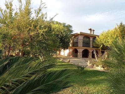 Domus piras
