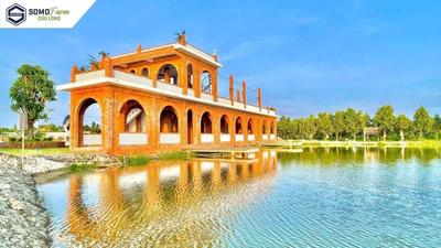 Somo Farm Cửu Long