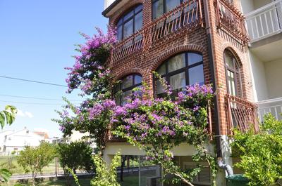 Villa Flora