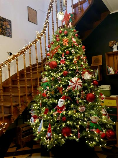 Sojolidays - Appartements d'hôtes & Brocante