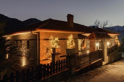 Villa Papis Metsovo