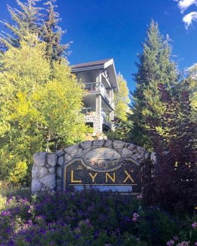 Renovated Lynx Property - Spacious 4 bedroom with private balcony and hot tub!