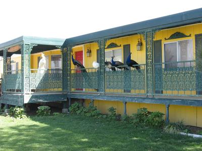 Shady Lady Bed and Breakfast, Bild 2
