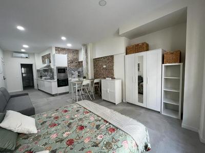 Precioso estudio en el centro de Málaga 1