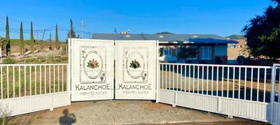 Kalanchoe Poshtel Suites