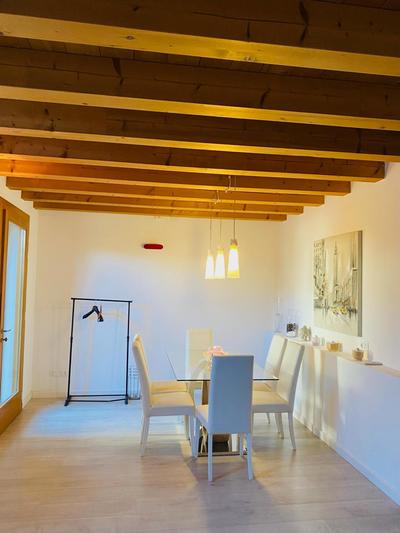 Central Luxury Garden guest house