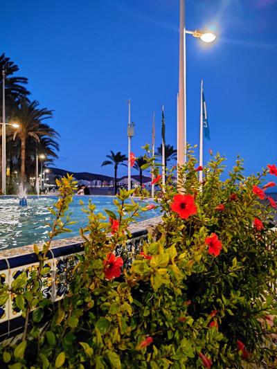 Cullera Confort Playa