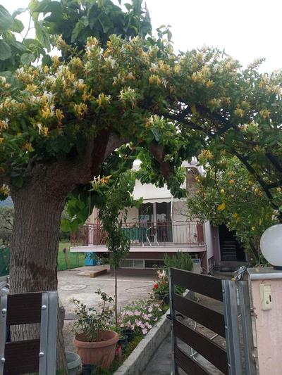 Margaritas Apartment