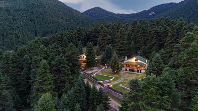 Dandy Villas Elatodasos - Chalet Artemis - Fir Forest - Jeep & Nature Lovers