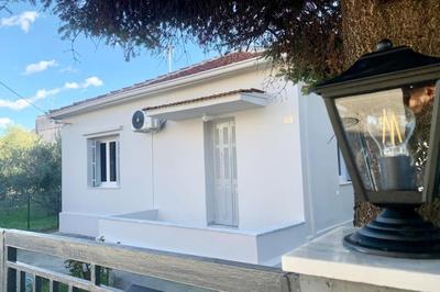 Elena's House