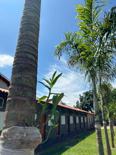 HOTEL POUSADA SÃO PEDRO MATÃO