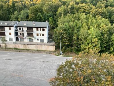 Edelweiss Apt29