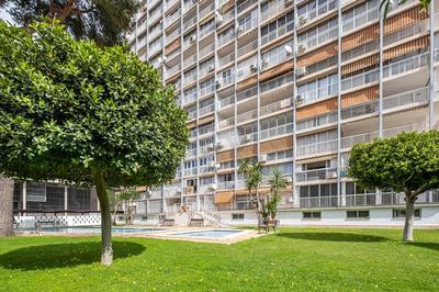 Albatros Ground Floor 1-4 Apartment Levante Beach