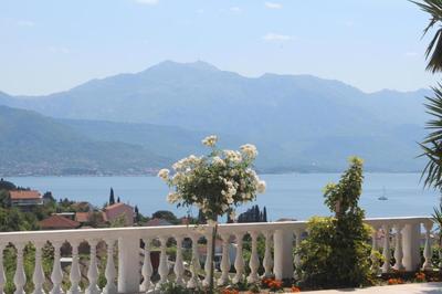 Elegance Duplexes by Monte Aria