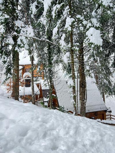 Forest Amerika-Bungalovi Milica
