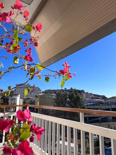 Nektar Suites