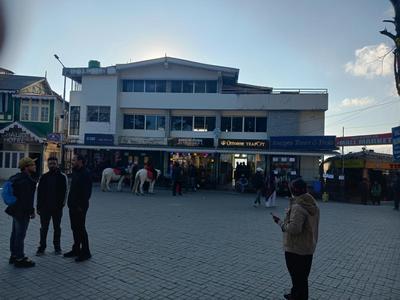 Azalea Holidays On Mall