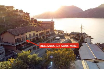 BELLANOOTJE by Design Studio